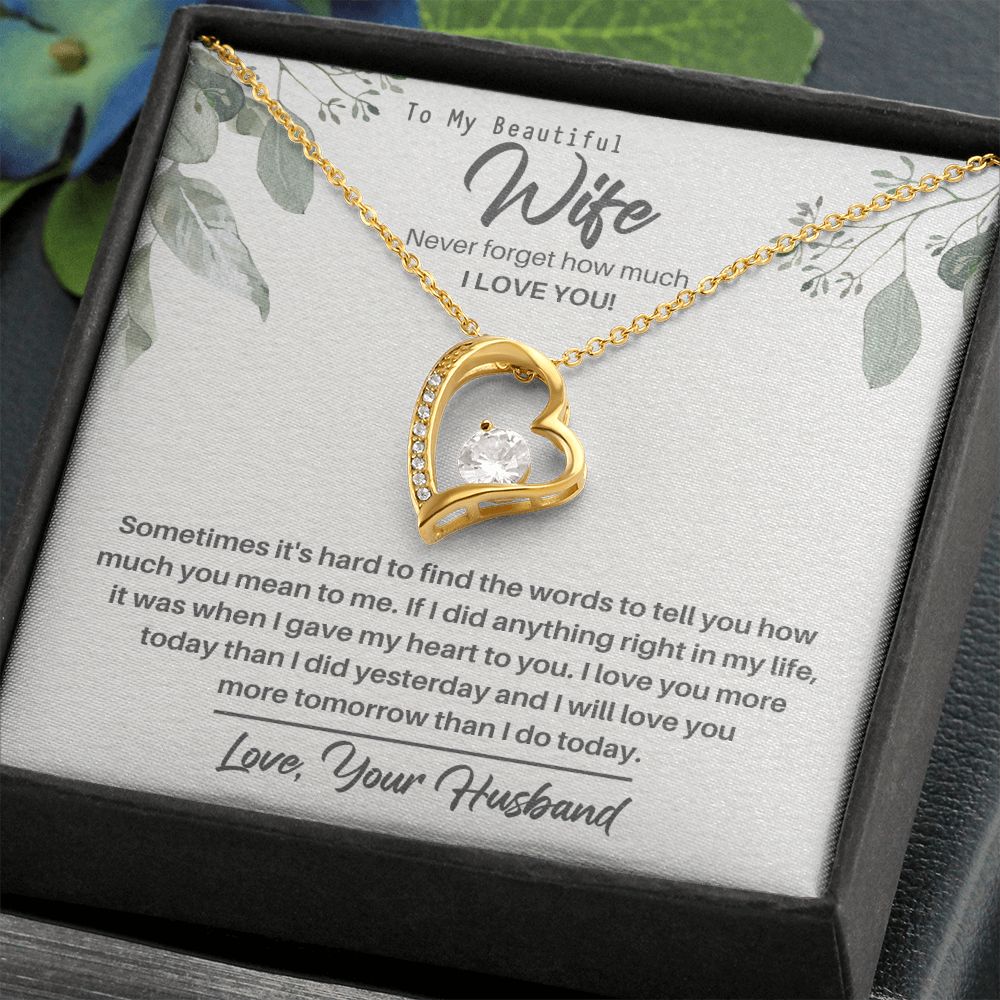 How Much You Mean to Me-Forever Love Necklace