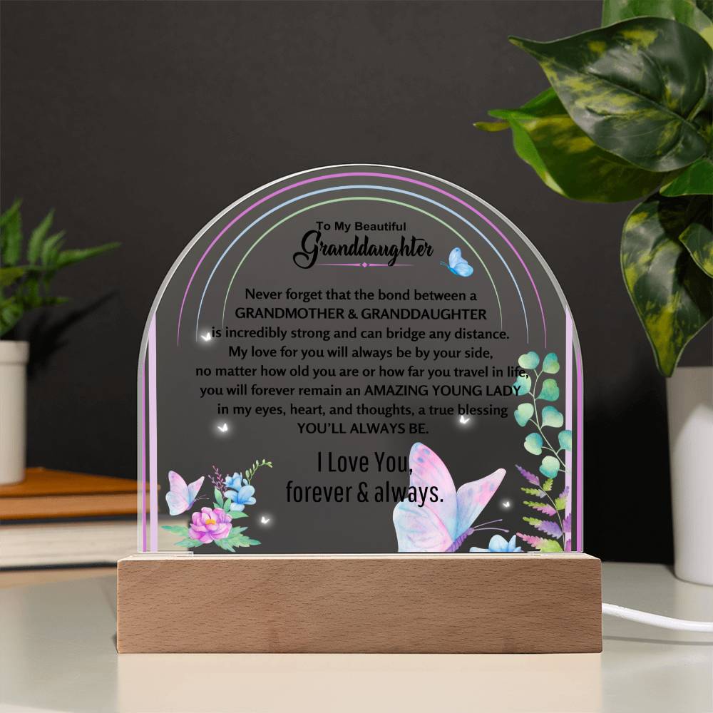 To My Granddaughter-Amazing Young Lady- Domed Acrylic Plaque